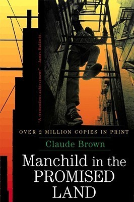 Manchild in the Promised Land cover